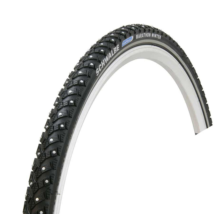 Schwalbe Schwalbe Marathon Winter Plus